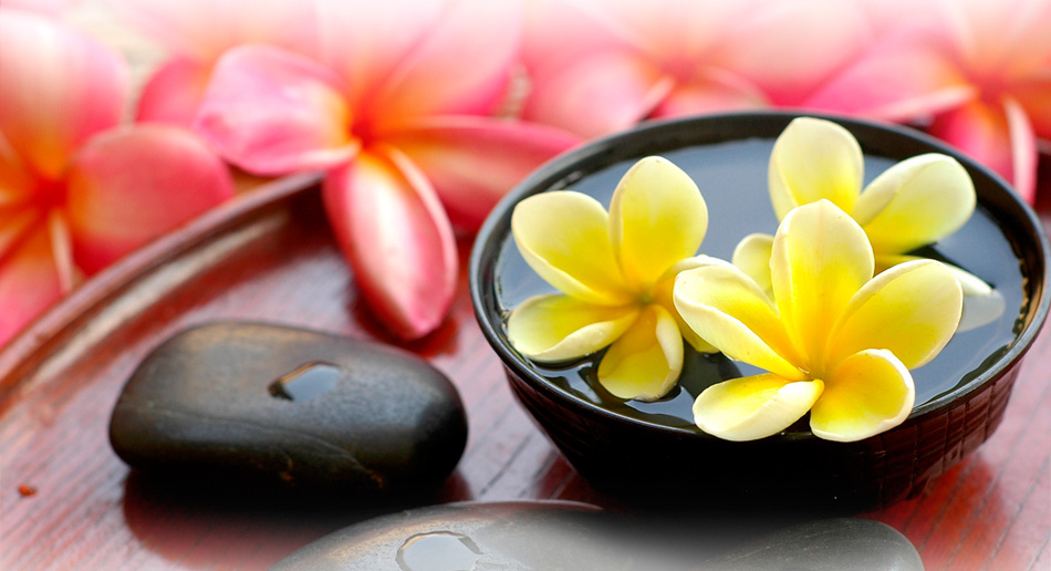 求推荐靠谱平台的在线网站攻击